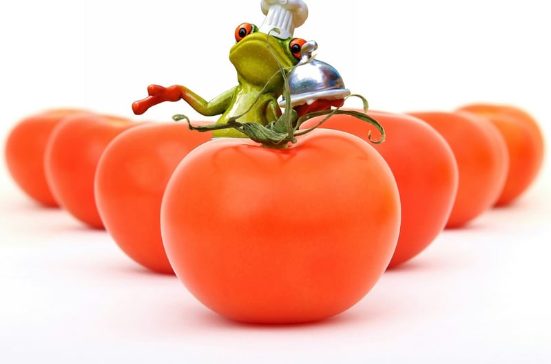 La Tomatina Festival in Spain